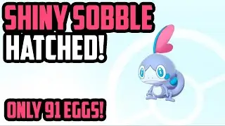 Shiny Sobble Hatched on Egg #91 - Pokemon Sword & Shield