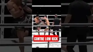 How to Counter a Low Kick Like a Pro! #LowKickCounter #SmartFighting #MMAtechniques