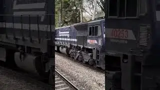 wdp4 and wdp4d running light | emd sounds | powerful diesels