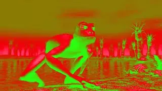 Patila Frog Dance Challenge Nursery Rhymes