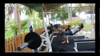 Dolphin Bay Resort - Attractions in the Area