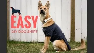 DIY DOG SHIRT!