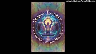 Organix Transistor - Divine Dance Of Spirit Molecule