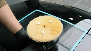 SPTA 3