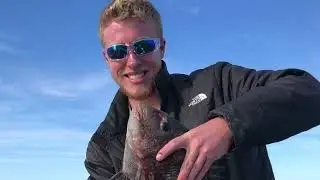 Fish of Pointe Aux Chenes