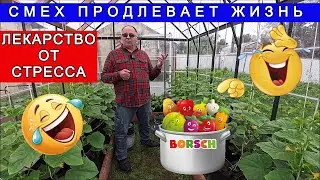 Весёлая ЖИЗНЕННАЯ ИСТОРИЯ про мой первый борщ на Аляске Анкоридж США Влог