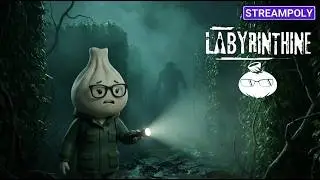 Streampoly#3 The Eternal Cylinder, Labyrinthine, The Pirate: Caribbean Hunt