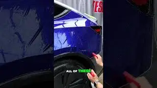 Colored PPF Install: So clean 😍