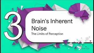 The Signal and The Noise