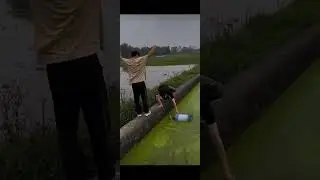 @fishing@water@funny