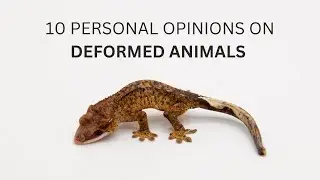 10 Personal Opionions about Deformed Animals
