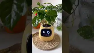 If only plants could speak ☺️🪴         #plantagotchi #AIplanter #plants #plantlover #plantcare