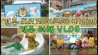 경주 뽀로로 아쿠아 빌리지 + 뽀로로 공연 같이 구경해요 !