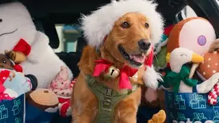 Дайте волю веселью | Праздник Petco 2025 (расширенный)