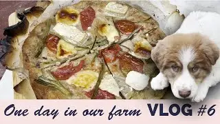 One day in our farm VLOG #6 - Baking PIZZA and making Bulgarian GUVECH (Гювеч)