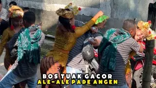 BOS TUAK GACOR DI ALE-ALE PADE ANGEN MONTONG BUNE LIVE KILANG