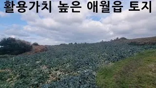 저멀리 바다가 시원하게 보이는 땅