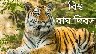 World Tiger Day।International Tiger Day। Global Tiger Day।10 lines on International Tiger Day।