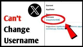 How To Fix X (Twitter) App Can't Change Username