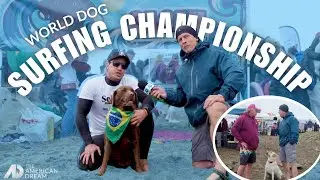 World Dog Surfing Championship | Full Segment on American Dream TV | Chris Eckert Real Estate Team