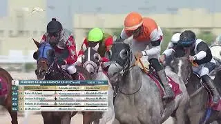 Ghayat Al Matloub (FR) by General (GB) PUREBRED ARABIAN HANDICAP 1300 m