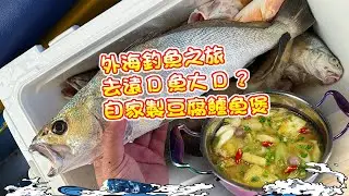 【漁人推介】阿火帶大家出海釣魚，外海釣魚之旅，去遠D魚大條D？青鱸咩食法？自己製豆腐鱸魚煲Catch and Cook Fish Receipe Tofu and sea bass stew