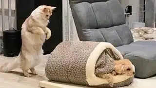 なんでそういうことするのか