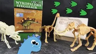 Stegosaurus Excavation - Fossil Dino - Exploring Stegosaurus - Unboxing Box by TheSurpriseEggs