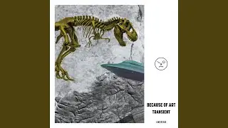 Transient (Extended)