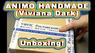 Model Horse Resin Medallion Unboxing from Viviana Dark of Animo Handmade