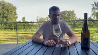 Weissburgunder Avantgarde, Pfalz - Weingut Bergdolt, Reif & Nett I weinhelden.de