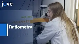 Ratiometry to Detect Ovarian Cancer via Receptor Targeting | Protocol Preview