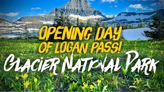 Can She Make it without FALLING?❄️Logan Pass Visitor's Center🏔️Crocs in the Snow❄️ 🩴