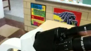 Adjusting The LabLearner Middle School Microscope Eyepieces: Part 1