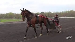 2021 USTrotting -- 3 year old Filly Pacers