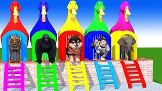 Long Slide Game With Cow Elephant Gorilla Hippopotamus Tiger 3d Animal Game Funny 3d Animals