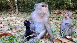 S@dly! The Most Cute Girl AMELIA Look At Sis AMINA P!tifully While Seeing Mom Educates Her Like This