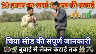 चिया सीड की खेती: 20 हजार लगाकर कमाएं 3 लाख! | Chia Seed Farming Full Guide