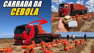 CARRADA DA CEBOLA!!! (Fico Massa)