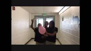 Majestic Kyle Balloon Toy