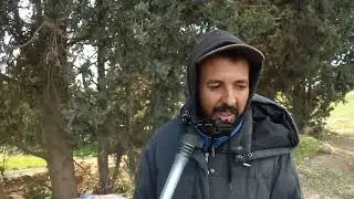 الخبيزة وصلت لكندا و أوروبا ، نخدم على عائلتي زوز بنات و أمهم شكون بيهم كان أنا نقعد في الدار 