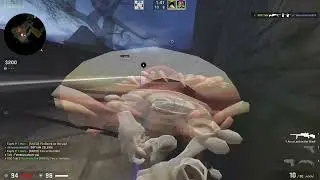 𝘛𝘢𝘣𝘪 𝘹 𝘌𝘶𝘱𝘩𝘪