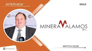 Minera Alamos: New Management and Target to Become a Mid-Size Gold Producer