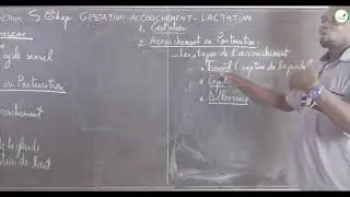 Cours - Terminale - SVT : La Reproduction / Gestation - Accouchement - Lactation / Suite 2 M. Gnasse