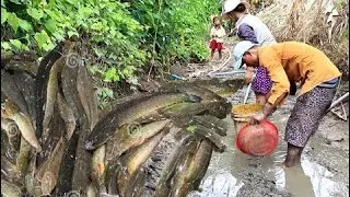 Net Fishing at pailin Province - Khmer Cast Net Fishing -Cambodia Traditional Fishing ( Part 57)
