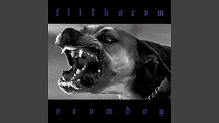 Scumdog