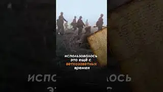 Как вычисляли немецких шпионов #shorts #втораямировая