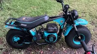 #bikelover  Georgia BullDogs 🐶 & Jacksonville Jags 🐆 customize bikes