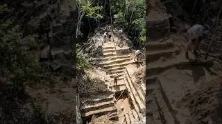 They Just Dug This Up in the Amazon