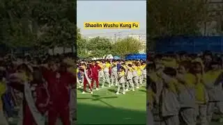 #shaolin #taichi #qigong #wushu #shorts